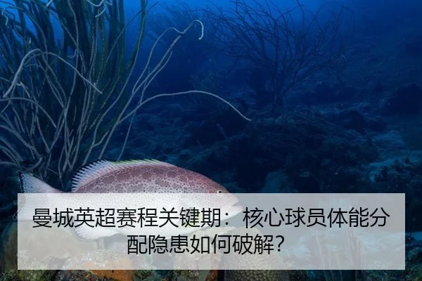 man-cheng-ying-chao-sai-cheng-guan-jian-qi-he-xin-qiu-yuan-ti-neng-fen-pei-yin-huan-ru-he-po-jie-2-566.jpg