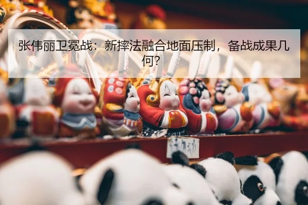 zhang-wei-li-wei-mian-zhan-xin-shuai-fa-rong-he-di-mian-ya-zhi-bei-zhan-cheng-guo-ji-he-3-267.jpg