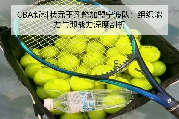 CBA新科状元王凡懿加盟宁波队：组织能力与即战力深度剖析
